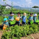 김천초교병설유치원 이미지