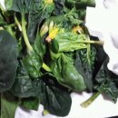 한얼농장 이미지