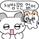 미라클투어