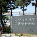 민초 韓流] 고양시 예산 문제로 시의회와 시행정부의 대립, 3조2천억원의 예산!이단(異端)이란? 그 본질을 망각한 것을 말한다 민초를 이미지