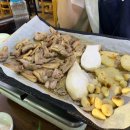 시골오리 이미지