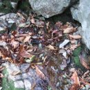 탑골목장 이미지