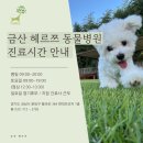 금산헤르쯔 동물병원 이미지