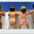 바람난강아지 이미지