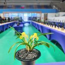 신안국민체육센터 | 신안 봄축제 추천, 신안국민체육센터 1004섬 춘란 전시 관람 후기