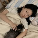 냥글냥글 이미지