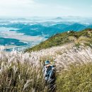 중앙레져 이미지