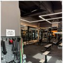 바이브먼트 이미지