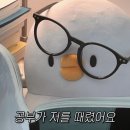 한국체육대학교 이미지