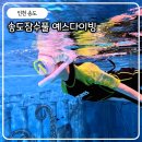 예스포유 | 송도잠수풀 인천프리다이빙 예스다이빙 어린이 키즈