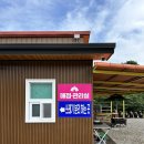 무풍건어물 | 가평 캠핑장 색다른 느낌 가득한 돔아일랜드304 방문후기