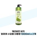 캐리비안 이미지