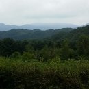 원당리농장 Daum카페