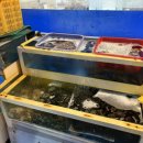 짱조개나라 이미지