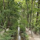 천년숲서로(서) 이미지