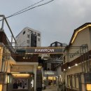 [성수 안경점] 성수동 예쁜 안경 맛집 추천, 일생안경 성수점 (rowrow 로우로우)