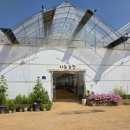 김포메추리농장 | 부천 나눔농장 28개월 아기랑 나들이 동물농장