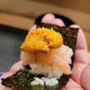 스시비또 이미지