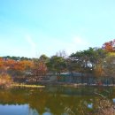 밤골가든 이미지