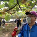 성산일출봉농업협동조합 농산물산지유통센터 이미지