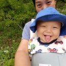 혜영농장 이미지