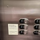 로얄렌트카 | 하와이 쓰리프티(Thrifty) 렌트카 가격·카시트·무인 반납 후기 | 29개월 아기 해외여행