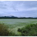 우포늪생태공원 이미지