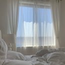 명동세탁 | [로에] LOE 명동 플래그십 매장 후기