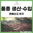 행정사사무소 설빛 이미지
