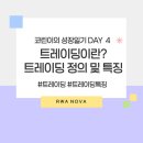 주디 트레이딩