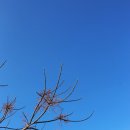 목신의숲