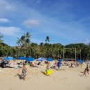 와이키키 이미지