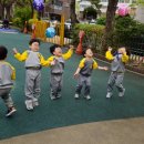 신나는 놀이체육(5세) 이미지