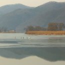 고니PC 이미지