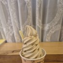 씨유강릉녹색도시점 | 강릉 카페 갤러리밥스 초당옥수수커피 아이스크림 후기 웨이팅 메뉴, 분위기 솔직리뷰