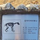 전곡리 유적지에 있는 쌍코뿔소 조형물 이미지