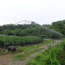 연천군마전리보건진료소 이미지