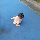 인천성지초등학교 이미지