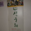 산들해 Daum카페