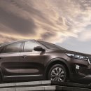 리스(219) 이미지