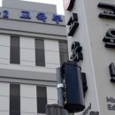 우리생명과학동물병원 이미지