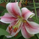 창조가든 이미지