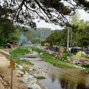 주전가족휴양지캠핑장 이미지