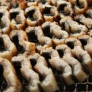 임진강장어 이미지