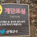 원지강변로 이미지