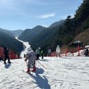 정선