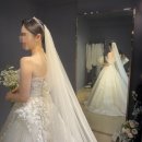 정하우스 | [W9. 본식 가봉] 하우스오브에이미 2025신상 본식가봉 후기 /하오에지정, 지정혜택