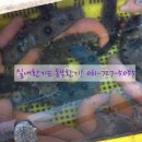 일품뻘낙자