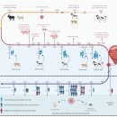 병길농장 이미지