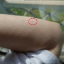 송도유외과의원 이미지